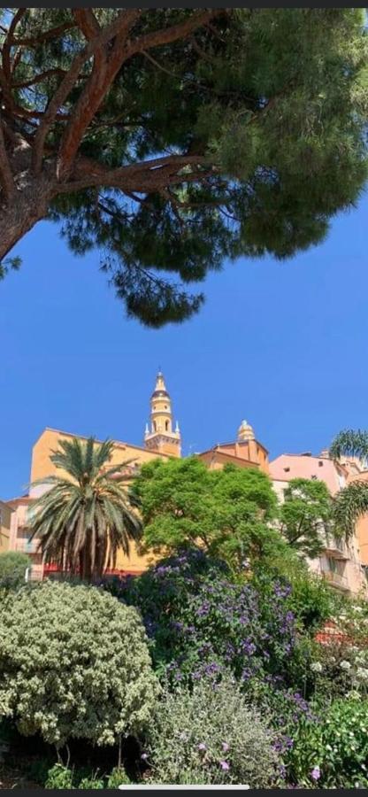 Menton Centre Vue Imprenable Sur Mer Et Jardin Bioves Exterior foto